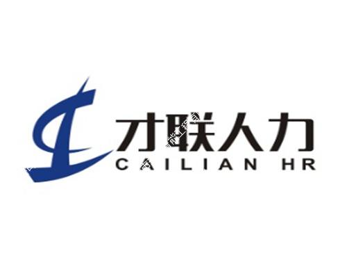 安徽才聯(lián)人力資源管理有限公司弱電系統(tǒng)工程