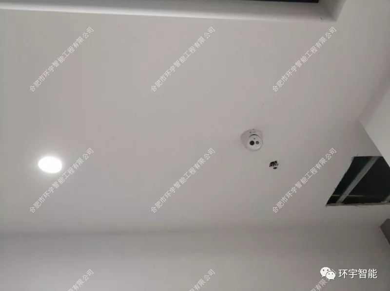 1733198246124568.png 圖片 6.png