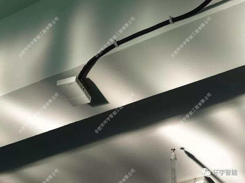 1733206847996616.png 圖片 4.png