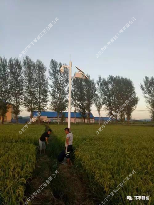 1733278427108160.png 圖片 1.png