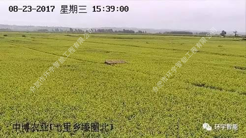 1733278535476878.png 圖片 16.png