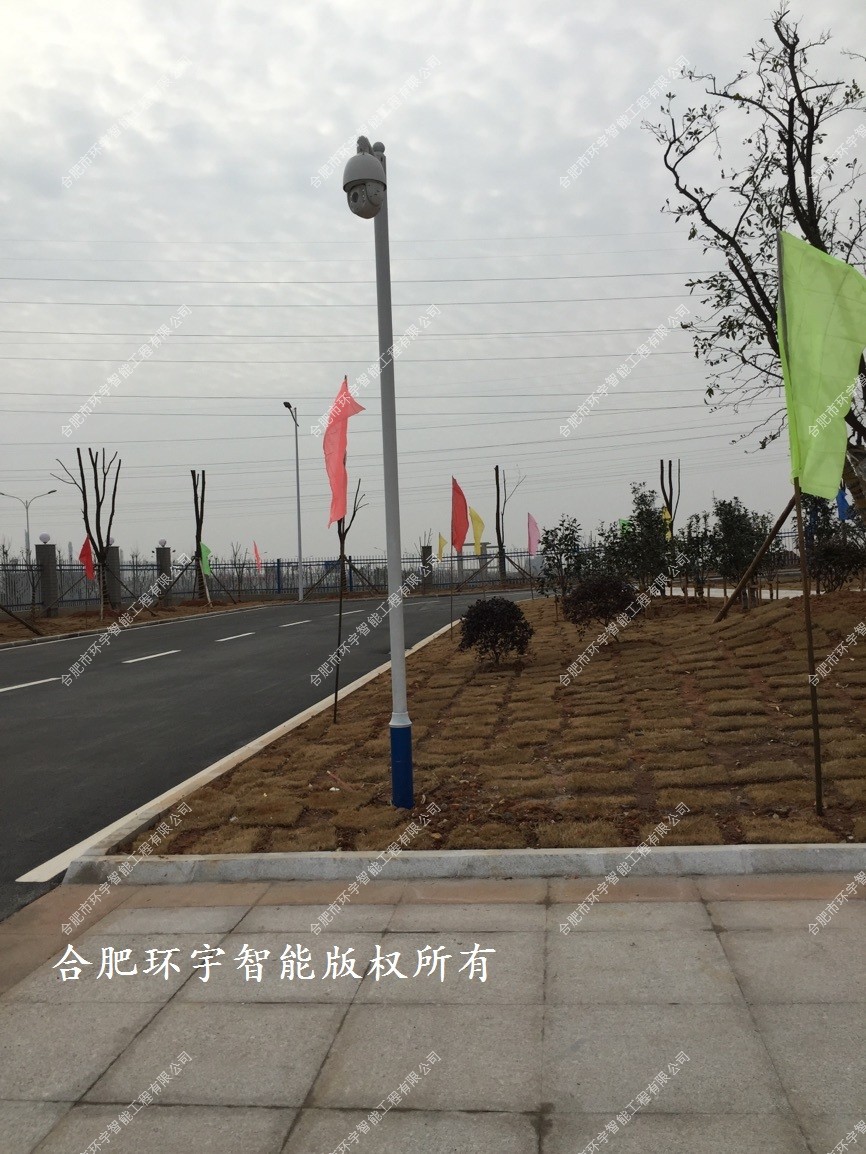 1733303557124620.jpg 6.jpg